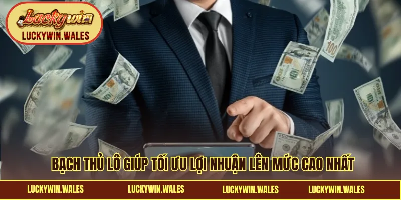 Bạch thủ lô giúp tối ưu lợi nhuận lên mức cao nhất