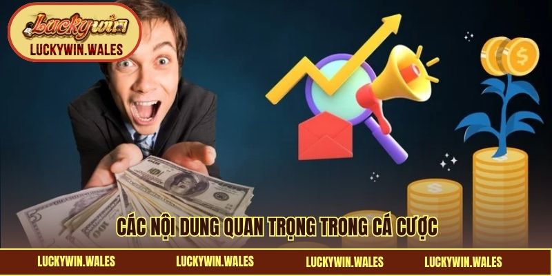 Các nội dung quan trọng trong cá cược