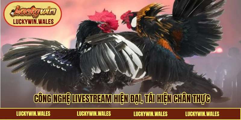 Công nghệ livestream hiện đại, tái hiện chân thực