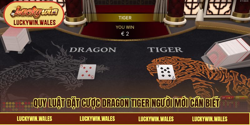 Quy luật đặt cược Dragon Tiger người mới cần biết