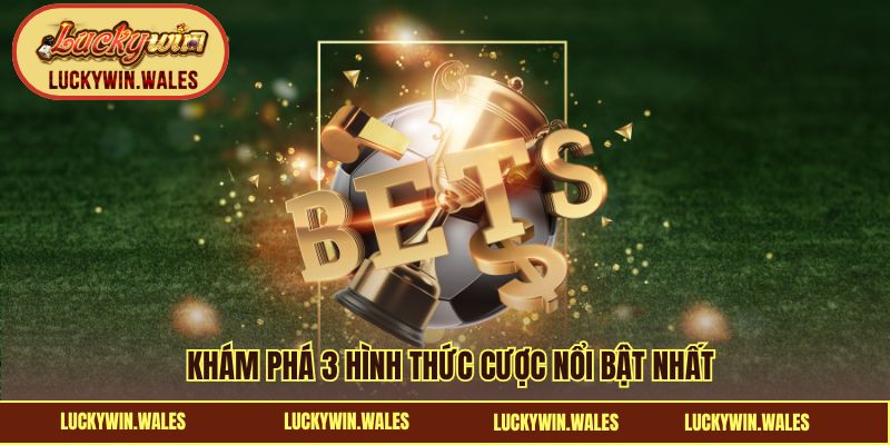 Khám phá 3 hình thức cược nổi bật nhất