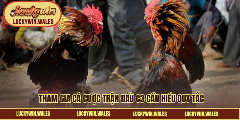 Tham gia cá cược trận đấu C3 cần hiểu quy tắc